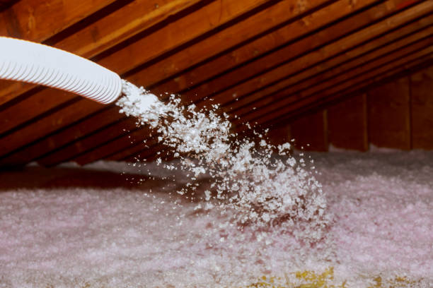 Best Affordable Insulation Services  in Chadwicks, NY