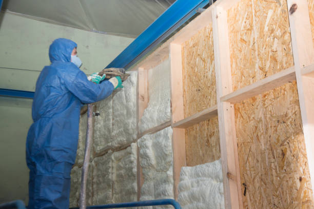 Best Home Insulation Services  in Chadwicks, NY